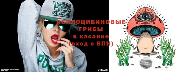 спайс Богородицк