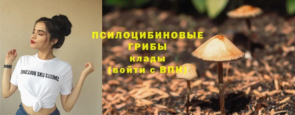 бутират Богданович