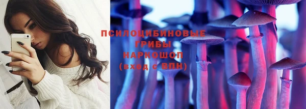 спайс Богородицк