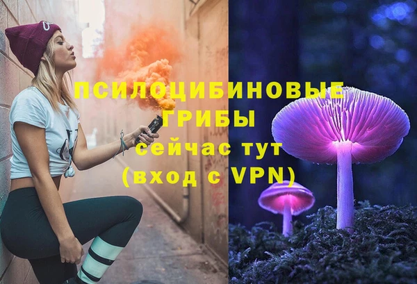 бутират Богданович