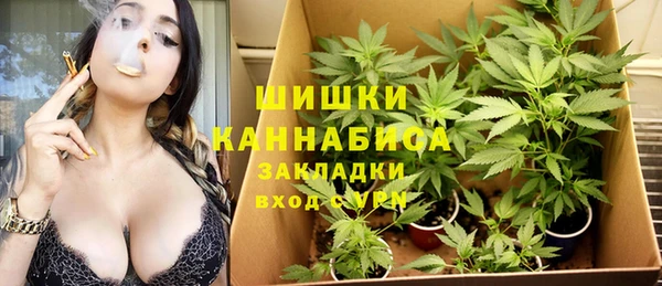 бутират Богданович