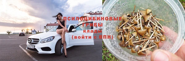 спайс Богородицк